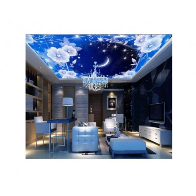 Cheap Price Colorful Moving Radiates Stylish Ceiling Mural For Living Room